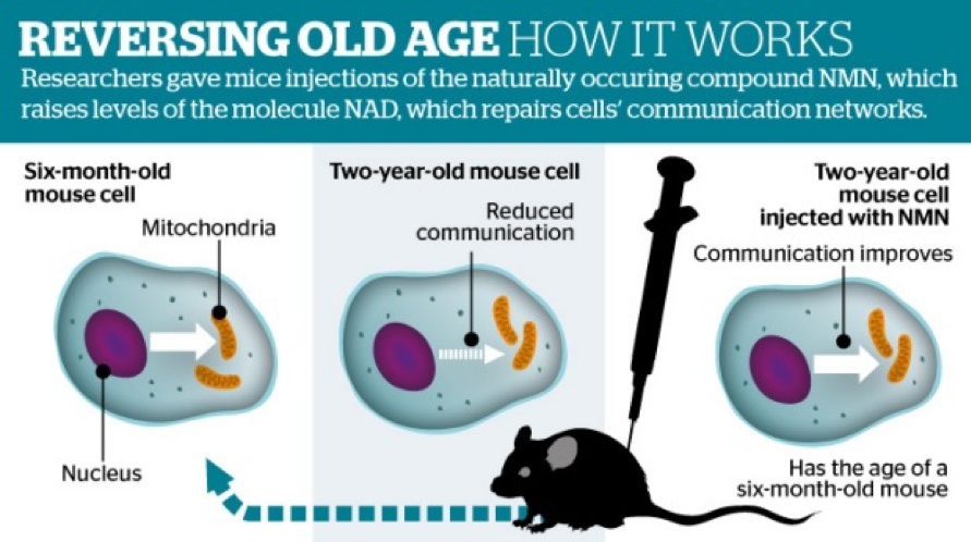 KWN - Scientist Have Found A Way To Stop & Rewind The Clock Of Aging