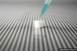 shutterstock_63063511