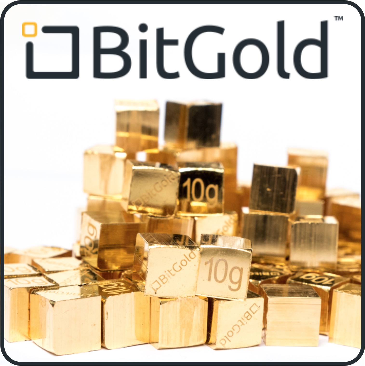 bitgold crypto