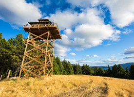 Fire-Tower Style Living at its Finest