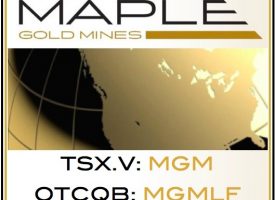 MAPLE GOLD MINES